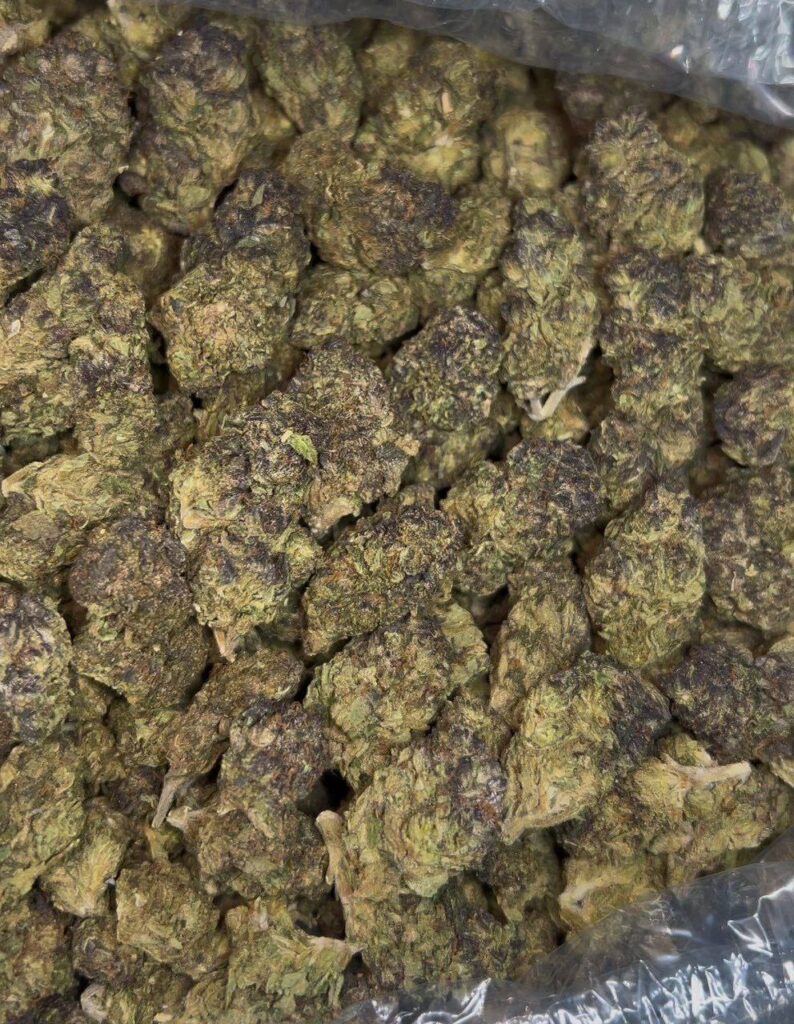 Gelato Cake Strain