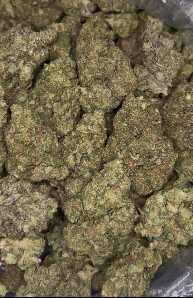 Gelato 33 Strain