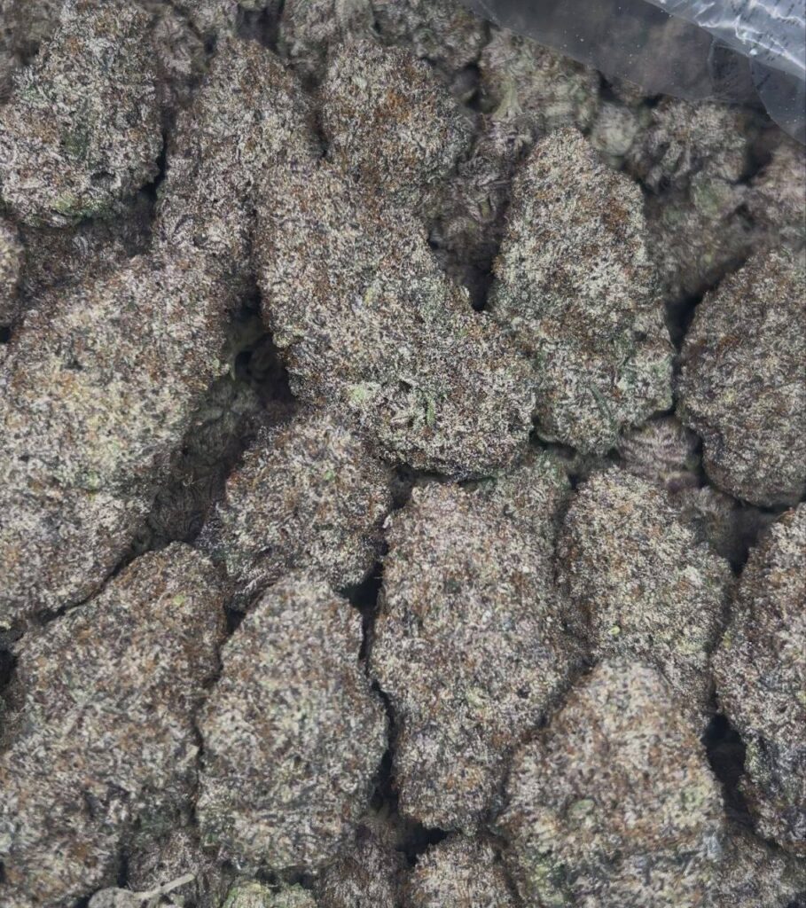 Ferrari Runtz Strain